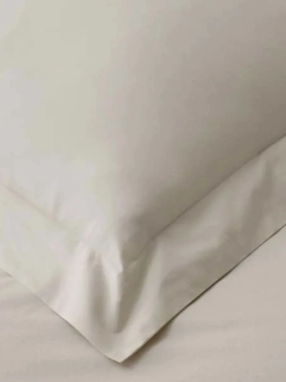 NWT | COMPANY STORE Cotton Percale Standard Pillow Shams | Set of 2